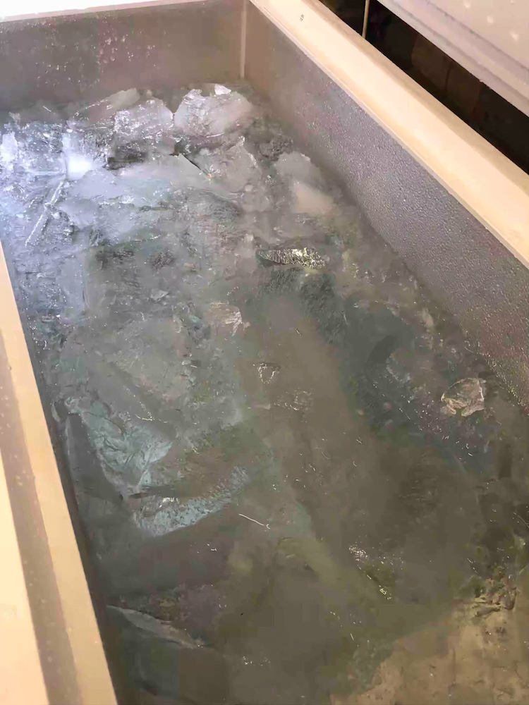 Dans DIY Ice Bath