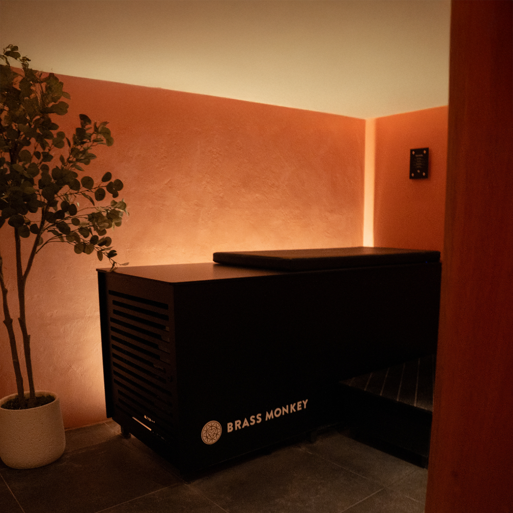 Reformer Collective studio